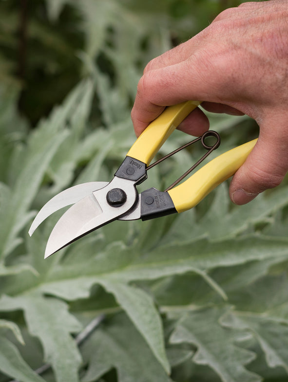 Niwaki Mainichi Secateurs